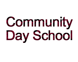 cds logo